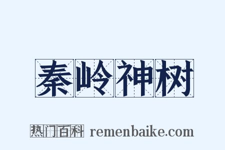 秦岭神树是什么意思的图片